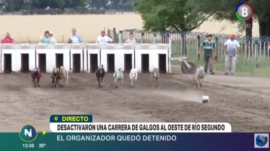 Desactivan una carrera ilegal de galgos en Río Segundo