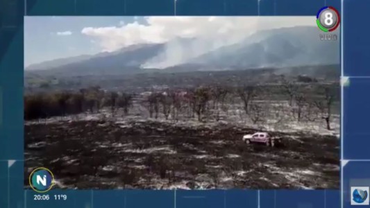 Incendios en Traslasierra: El ecosistema se recuperará en 40 años