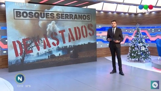 En 10 años se perdió el 24 por ciento de las especies de bosque serrano