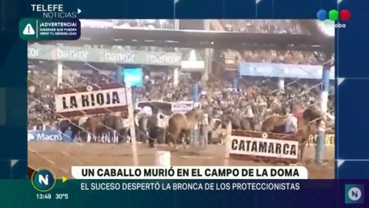 Un caballo murió en plena jineteada en Jesús María