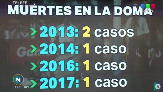 ¿Cuántas muertes de caballos se han registrado en el campo de la jineteada?