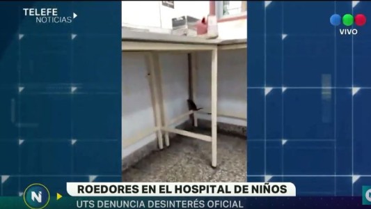 Denuncian la presencia de roedores en el Hospital de Niños