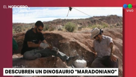 Descubren al "Maradona" de los dinosaurios en Nequén