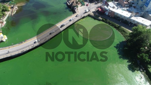 Preocupación y polémica por las algas en el Lago San Roque