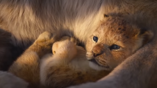 Se viene la remake de El Rey León: el espectacular nuevo trailer