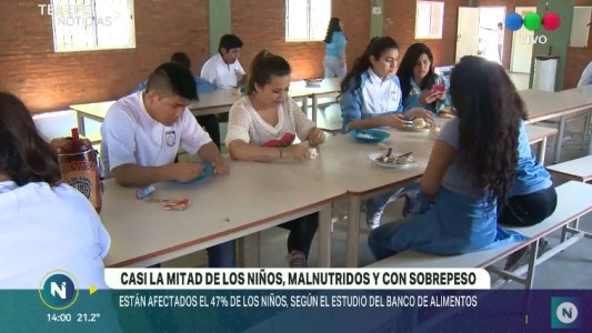 Preocupan los datos del Banco de Alimentos por casos de mala alimentación
