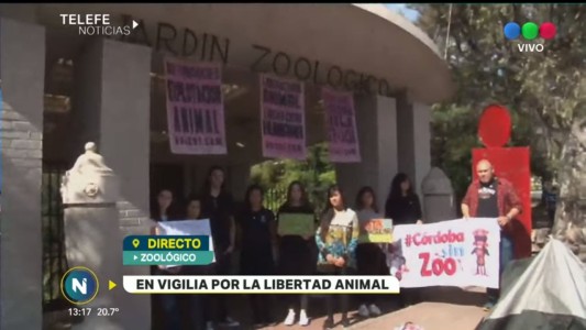 Encadenados al zoo