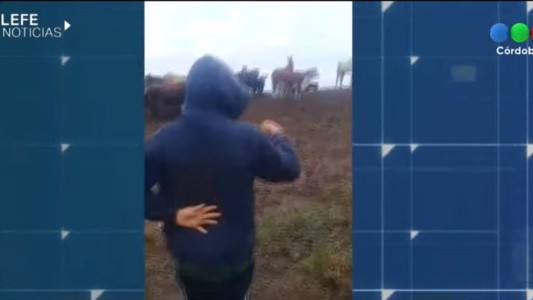 La Rinconada: el pueblo asediado por una invasión de mosquitos