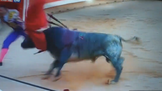 Mirá el video de la tremenda corneada que manda a un torero al hospital