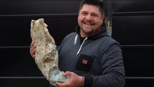 Berisso: compró tierra y encontró restos de un animal prehistórico