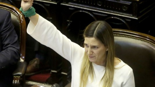 Lospennato pidió a "todos los partidos" que repudien las afirmaciones de Aníbal Fernández