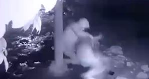 Le robaron su moto a un policía: antes de huir le dispararon en la pierna