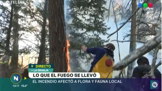 Incendios en Córdoba: fuego arrasador en La Granja