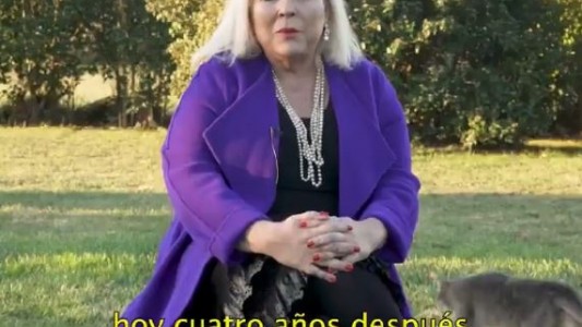 Un gato protagonizó el último spot de campaña de Carrió