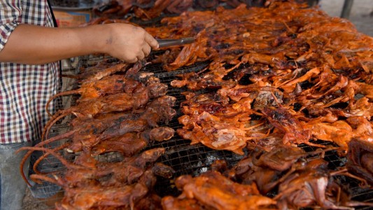 Ratas asadas: "Deliciosas como el pollo"