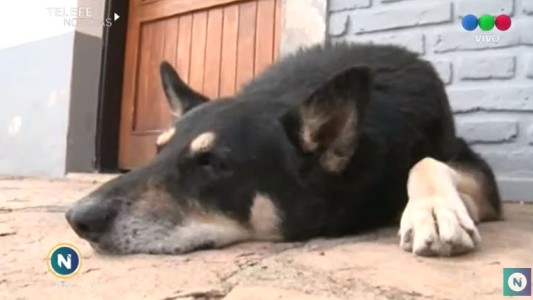 Capitán eterno: ya tiene su monumento en Carlos Paz