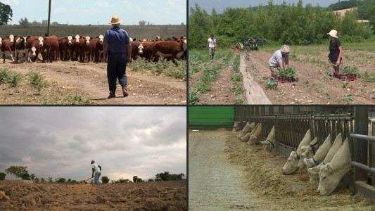 Preocupación por el desperdicio mundial de alimentos
