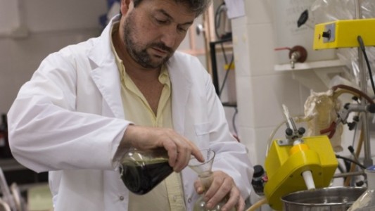 La Universidad Nacional de La Plata aprobó la cátedra de Cannabis y Salud