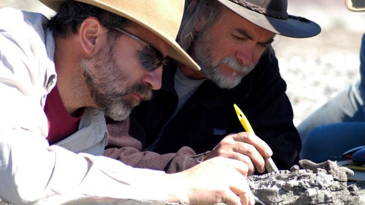 Hallaron en Ischigualasto una especie similar a "Scrat", la ardilla de "La era de hielo"