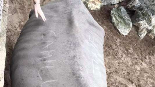 Dos jóvenes escribieron sus nombres en el lomo de un rinoceronte