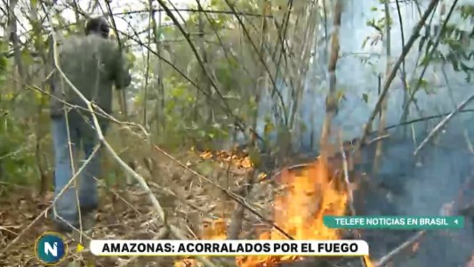 Infierno en el Amazonas: Telefe Noticias está allí donde no llega la ayuda
