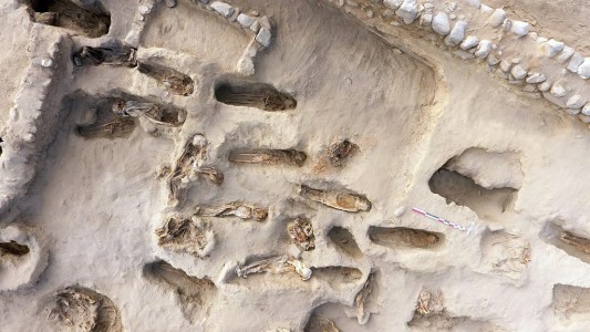 Sacrificios infantiles en ritual precolombino: hallaron los restos de 227 niños