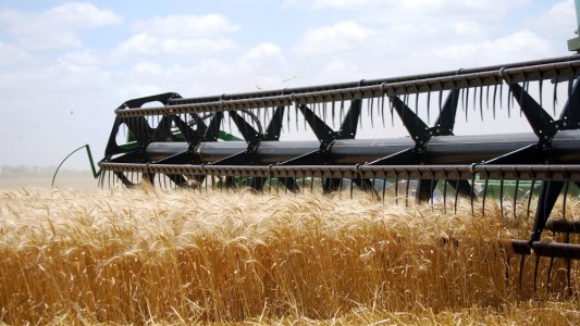 El Banco Central limita el crédito a exportadores para que vendan sus dólares