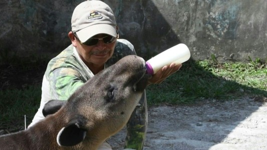 Una hacienda narco convertida en zoo