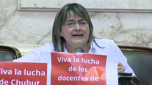 Quién es la única diputada que no voto a favor de la emergencia alimentaria