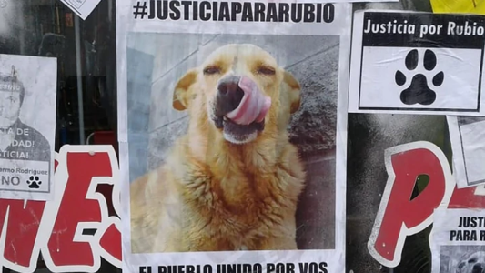 Arrastró a un perro hasta matarlo en Mar del Tuyú: marchas en todo el país para pedir justicia