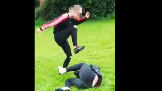 Video: brutal paliza de una joven a otra de 14 años en un parque