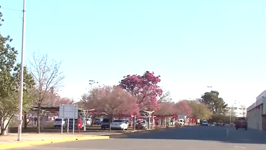 Inseguridad: roban una camioneta con un día de uso en centro comercial