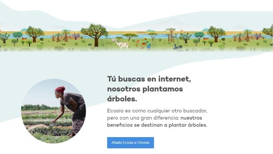 Ecosia, un buscador que promete plantar un árbol por cada búsqueda