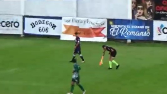 Video: tuvieron que parar un partido de Primera C por un ataque de teros