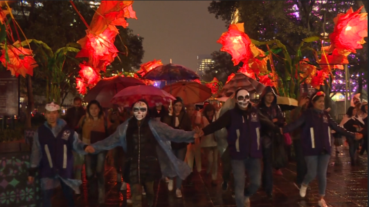 VIDEO: alegría y color para recordar a los muertos en México
