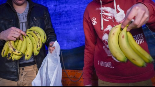 Bananas a $160 el kilo: aumento por el conficto social en Chile