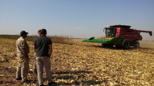 El Gobierno posterga hasta mediados de marzo el pago de compensaciones agropecuarias tras detectar fraudes