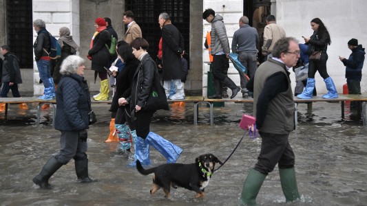 Casi toda Venecia está bajo el agua: "Es una devastación apocalíptica"