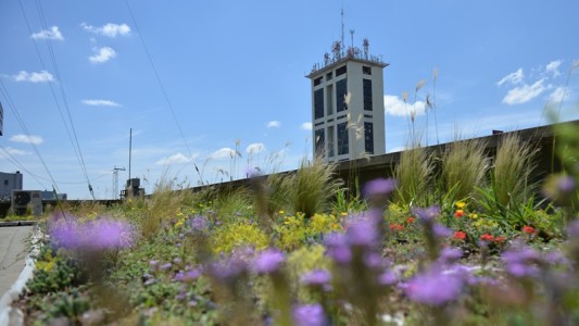 Mestre inauguró la “terraza verde” del Palacio “6 de Julio”
