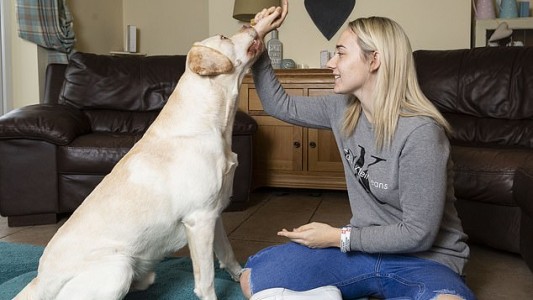 La historia de Freddie, el perro que salva a su dueña que sufre convulsiones hasta 100 veces al día