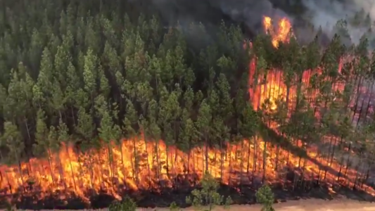 VIDEO: fuego descontrolado en Australia