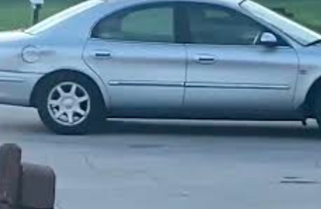 Video: el perro activó un auto en reversa y estuvo una hora dando vueltas sin control