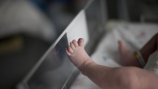 La Plata: Una beba tomó cocaína que encontró en la cabeza de una de sus muñecas