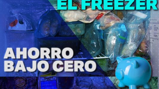 En tiempos de crisis, para "congelar el precio", todo al freezer