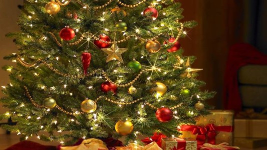 Árbol de Navidad: origen de la tradición y por qué se arma el 8 de diciembre