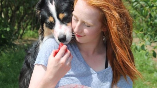 Secret, la perra que ayuda a su dueña a armar el arbolito de Navidad y es furor en redes