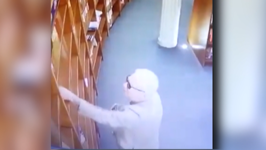 VIDEO: escándalo diplomático: así sorprendieron al embajador de México robando un libro