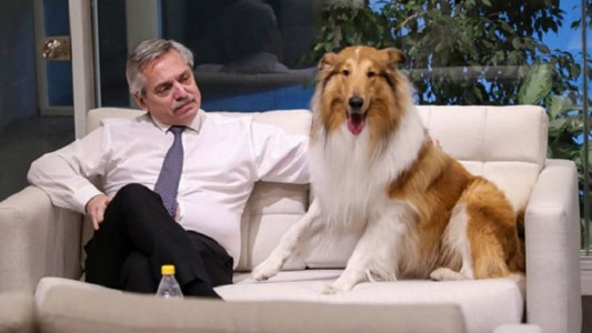 Se separaron Alberto Fernández y Dylan