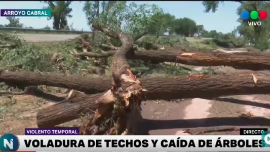 VIDEO: Arroyo Cabral, los efectos de la furia del temporal