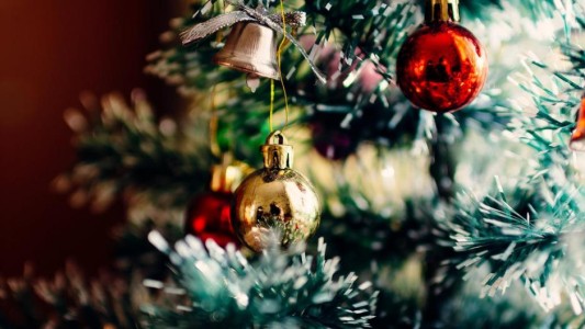 Una pareja despertó y encontró algo tremendo en el árbol de Navidad